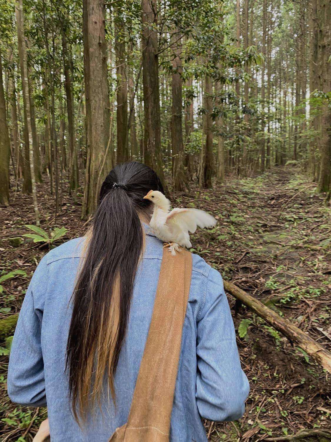 戸村 糸希のイメージ